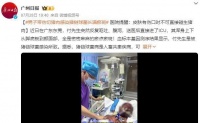 男子带伤切猪肉感染猪链球菌长满瘀斑：全身密密麻麻的瘀点瘀斑