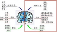 亨氏国际早教机构