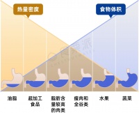 有助减肥的20个技巧，简单实用