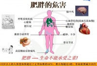什么才是真正健康的瘦身法？掌握这些知识，让减肥轻轻松松！