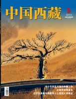 中国西藏网