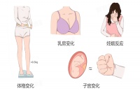 孕早期不适