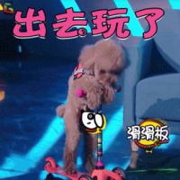 身心放假，健康不能放假！五一出游，你需要这份健康出行手册！