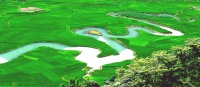 中医药+旅游