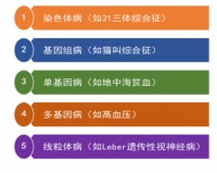 小龙博士的遗传科普：遗传病咨询、诊断的七问七答