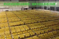 孕妇游览云南的注意事项：健康与安全的旅行指南