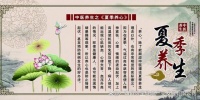 提高健康的养生产品