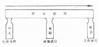 康复医学/作业疗法