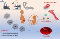 我校朱鹏教授团队在孕期环境暴露与母婴健康方向取得研究新进展