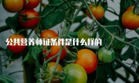 公共营养师证条件是什么样的