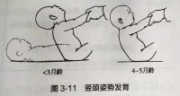 手把手教你做早教，一学就会，再也不用花冤枉钱（4