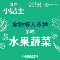 【合理膳食行动】健康饮食5个小贴士