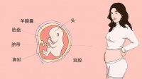 16周产检做什么项目
