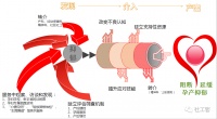 社工如何开展孕妇抑郁辅导服务？