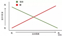 跑步减肥：一次究竟需要跑多久？