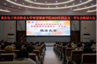 接力传承，青春再启航丨智慧健康学院圆满 举办团总支・学生会换届大会