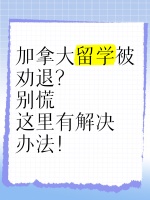 健康管理师报考指南：条件、要求、适合人群