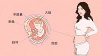 怀孕前三个月忌吃什么