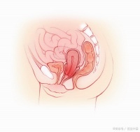 软产道异常：医生告诉你如何应对...@程桂平主任的动态