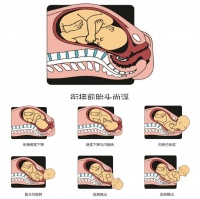 带你一图了解分娩全过程