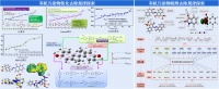 国家环境保护新污染物环境健康影响评价重点实验室