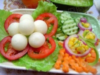 素食主义