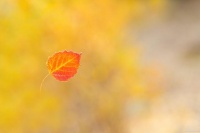 解锁健康生活的10个必备小习惯