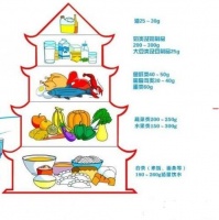 儿童营养配餐