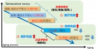 【智库观点】应对老龄化问题的逻辑