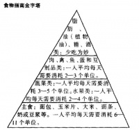 营养金字塔