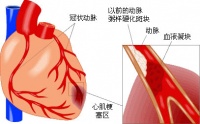 健康指南【健康分享】