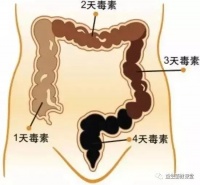 益生菌：肠道是人的“第二大脑”，肠寿=长寿！