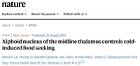 Nature：为什么天冷时吃的更多？叶立团队揭示背后的神经学机制，为减肥和代谢健康提供新思路