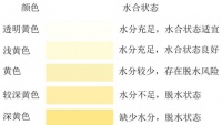 2022中国居民膳食指南准则六：规律进餐，足量饮水