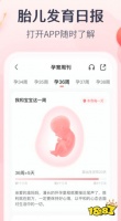 孕妇app排行榜前十名,有什么好用的孕妇app