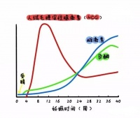 医学科普：产后头痛