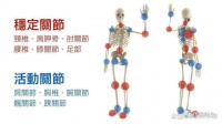 运动康复：关节相邻理论