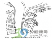 大学形体塑身教什么