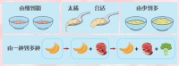 不同月龄宝宝的辅食添加推荐量