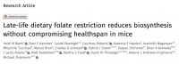 研究发现：晚年限制叶酸摄入或有助于代谢健康和长寿