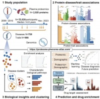 科学家全面绘制人类健康与疾病蛋白质组图谱