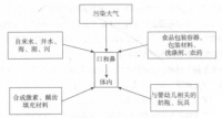 环境激素污染