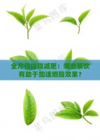 全方位排脂减肥：哪些茶饮有助于加速燃脂效果？