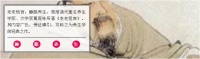 【健康】睡眠那些事儿（四）