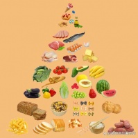 饮食调理：健康生活的基石