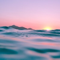 快节奏生活滋生亚健康人群，海参养生受白领人士青睐【海参专卖吧】