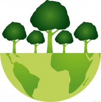 环保生活：有机生态，摆脱化学污染，创造纯净生活环境