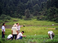 广东原甜有机农场经营模式