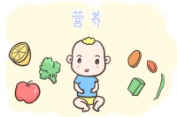 宝宝吃什么可以补充营养呢？