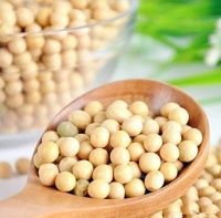 植物蛋白摄入可抵消不健康生活习惯